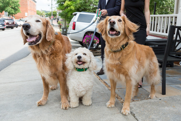 The Boys of k&m and Their Adoption Stories!