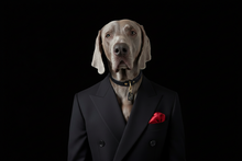 Load image into Gallery viewer, Genuine Leather Dog Collar: Ascot Collar