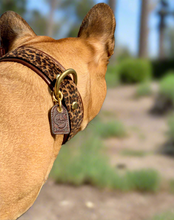 Load image into Gallery viewer, Genuine Leather Dog Collar: Monroe Collar