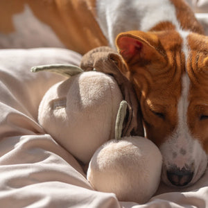 Momo 桃 (Peaches in Japanese) Dog Play Object