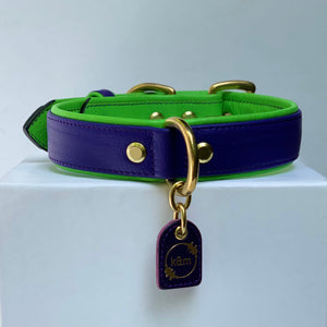 Genuine Leather Dog Collar: Islamorada Collar