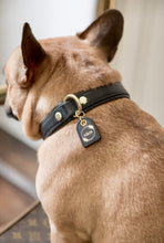 Load image into Gallery viewer, Genuine Leather Dog Collar: Ascot Collar