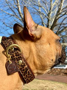 Genuine Leather Dog Collar: Monroe Collar