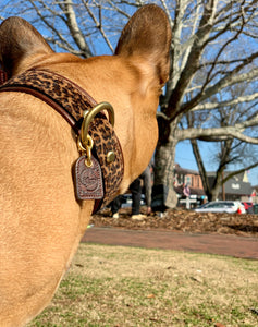 Genuine Leather Dog Collar: Monroe Collar