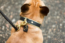 Load image into Gallery viewer, Genuine Leather Dog Collar: Regents Collar