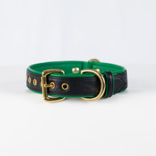 Load image into Gallery viewer, Genuine Leather Dog Collar: Ravenna Collar