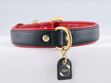 Load image into Gallery viewer, Genuine Leather Dog Collar: Dooley Collar