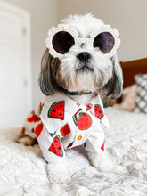 Load image into Gallery viewer, It’s Back! Customer FAV! Dog Shirt &quot;Tutti Frutti&quot; For All Breeds &amp; Sizes