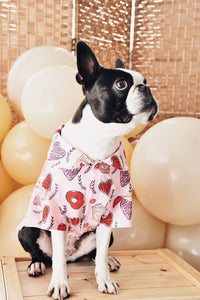 Dog Shirt "Brunch Date" For All Breeds & Sizes