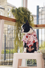 Load image into Gallery viewer, Dog Shirt &quot;Brunch Date&quot; For All Breeds &amp; Sizes