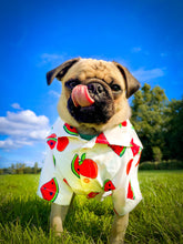 Load image into Gallery viewer, It’s Back! Customer FAV! Dog Shirt &quot;Tutti Frutti&quot; For All Breeds &amp; Sizes