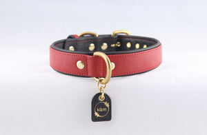 Genuine Leather Dog Collar: Athens Collar